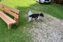 2025-Arbeitseinsaetze-neue-Baenke-29