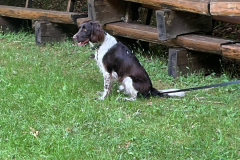 2025-Arbeitseinsaetze-neue-Baenke-48