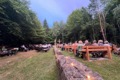 2025-Konzert-mit-„Paddy-Goes-To-Holyhead-33