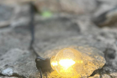 2025-Konzert-mit-„Paddy-Goes-To-Holyhead-34