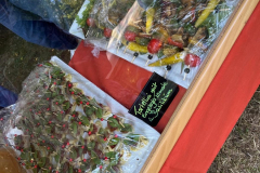 Sommerfest14