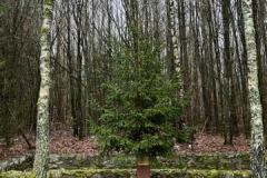 Adventsstimmung-20231