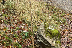 ArbeitseinsatzNov-202316