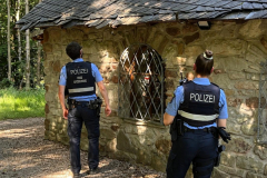 Diebstahl10