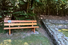 Diebstahl14
