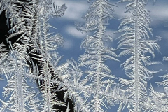 Winter-am-Raezebore-2024-5