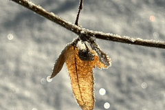Winter-am-Raezebore-2024-6