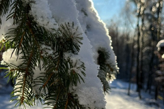 Winter-am-Raezebore-2024-7